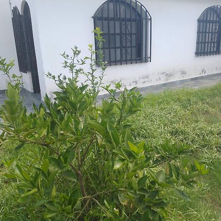 Hostel Alto Alberdi Cordoba Exterior photo